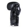 Boxerské rukavice DBX BUSHIDO B-ProFight (Velikost 10oz.)