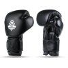 Boxerské rukavice DBX BUSHIDO B-ProFight (Velikost 10oz.)
