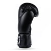 Boxerské rukavice DBX BUSHIDO ARB-Black (Velikost 10oz.)