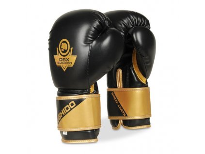Boxerské rukavice DBX BUSHIDO B-2v10 (Velikost 14oz)