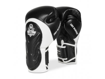 Boxerské rukavice DBX BUSHIDO BB5 (Velikost 14oz)