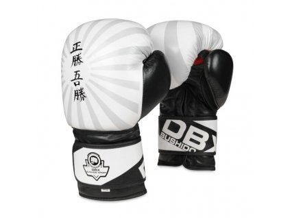 Boxerské rukavice DBX BUSHIDO B-2v8 (Velikost 10oz)