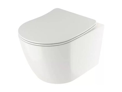 Závěsná WC mísa / sanitární keramika / BEZ PRKÉNKA / bílá