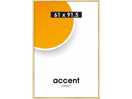 nielsen accent kunststoffrahmen colorado 61x915 cm gold