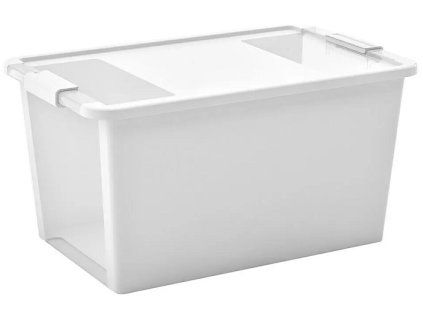 Box s víkem KIS Bi L (1)