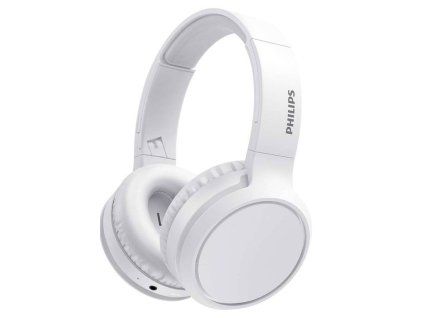 product 4439051 (1)