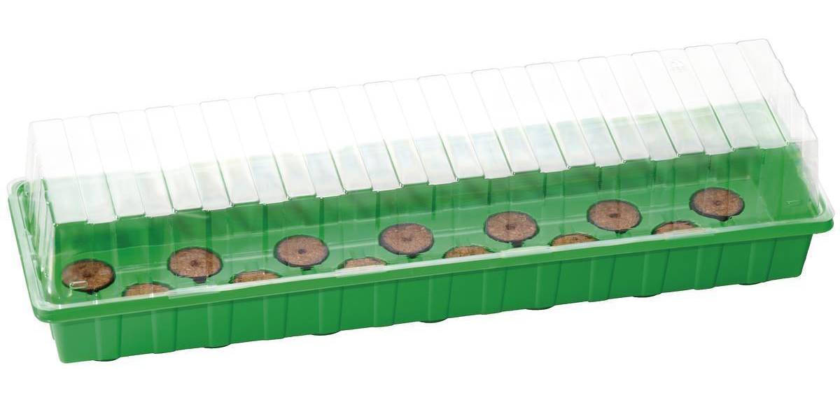 Pokojový skleník Romberg Classic L Plus / 54 x 15 x x12 cm / sadbové tablety / zelená / ZÁNOVNÍ
