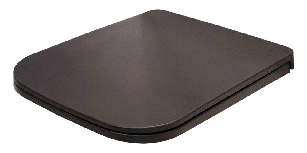 WC sedátko RAK Ceramics Metropolitan MPSC3901504 / soft-close / matně černá Varianta: ivi1