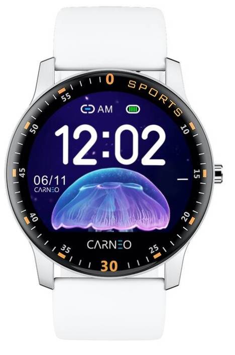 Chytré hodinky Carneo Gear+ Platinum woman / 1,22" (3,1 cm) OLED displej / Bluetooth 4.0 / 240 x 240 px / stříbrná Varianta: ivi1