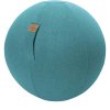 sitting ball felt sitzball blau 65 0 cm 4005380455743