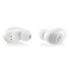 product 4318897