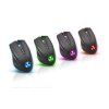 product 2626211
