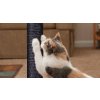 cat scratching tree (2)