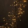 228424 p img