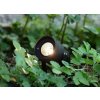Zahradní LED reflektor Markslöjd Garden 24 / 6 W / 9 x 9 x 30 cm / černá (iris-variant-id ivi0)