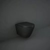 WC sedátko RAK Ceramics Feeling s měkkým zavíráním / duroplast / černá matná (iris-variant-id ivi0)