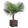 Samozavlažovací květináč Deroma Millennium Planter / 39 x 39 x 39 cm / plast / hnědá (iris-variant-id ivi0)