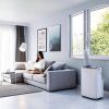 product 4245229 (1)