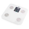 product 6447709 (1)