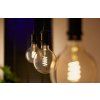 product 4754321 (1)