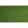 Umělý trávník kusový (2)