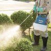 image (21)
