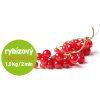 product 3652993