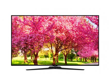 Televize JVC LT-65VU83L / černá / ROZBALENO