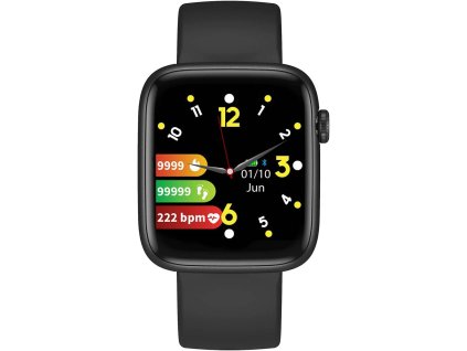 Chytré hodinky The Artists Miami ART-M1B / 1,4" (3,5 cm) TFT LCD dotykový displej / IP68 / Bluetooth / černá