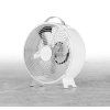 Stolový ventilátor ETA Ringo 0608 90000 / biely (Varianta ivi1)