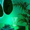 Inteligentné LED bodky Twinkly Dots / 60 LED diód / 3 m / viacfarebné (Varianta ivi2)