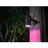 Vonkajšie LED svietidlo Philips Hue Lily / 8 W / Bluetooth / čierne