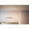 Stropní svítidlo WiZ Panel Ceiling 36 W RT / 29,5 × 119,5 x 4 cm / 3400 lm / IP20 / 36 W / černá