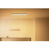 Stropní svítidlo WiZ Panel Ceiling 36 W RT / 29,5 × 119,5 x 4 cm / 3400 lm / IP20 / 36 W / černá