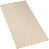 Preglejka / 120 x 60 x 0,6 cm / buk (Varianta ivi3)