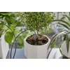 Gardena Micro-Drip štartovacia súprava 13366-20 / 10,5 l / 12 výleviek / sivá