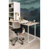 Preglejka multiplex / 160 x 60 x 0,9 cm / breza (Varianta ivi1)