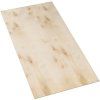 Preglejka multiplex / 160 x 60 x 0,9 cm / breza (Varianta ivi1)