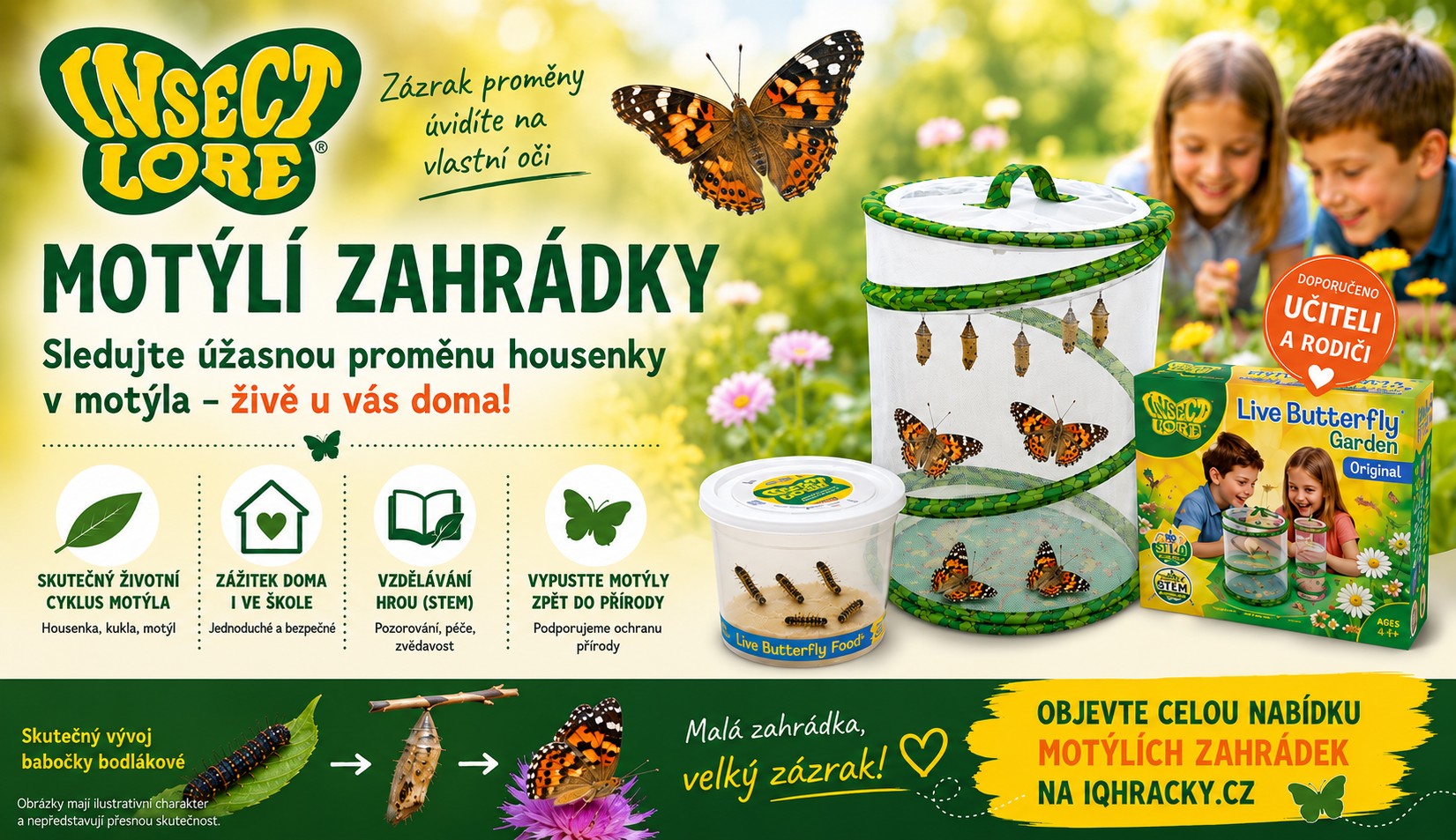 Insect Lore - Živé motýlí zahrádky