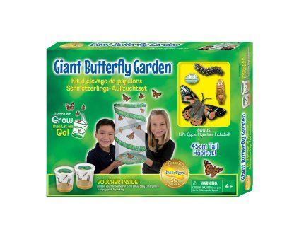 Giant Butterfly Garden