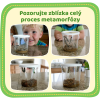 Motyli zahradka 05