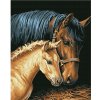 Diamantový obrázek 40x30cm - Kůň s hříbětem 7774