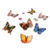 Insect Lore Motýlí 3D samolepky - různé barvy