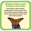 Motyli zahradka 03