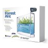 T.A.O.S. Super Forest Ant Ecoterrarium