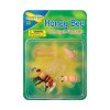 Insect Lore Životní cyklus - Včela