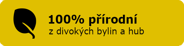 Konzultace s odborníky