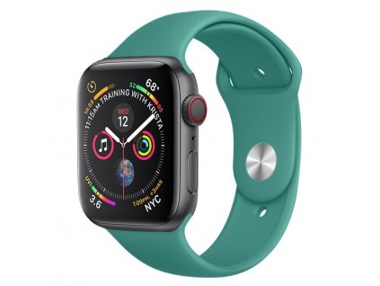 jednobarevny reminek apple watch (8)