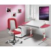 room17 profi fsport red2 4304 main