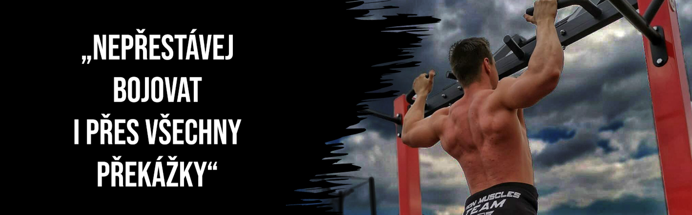Nepřestávej bojovat